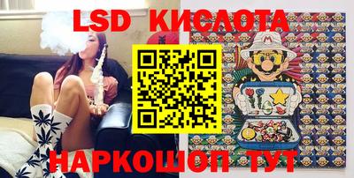 индика Кингисепп