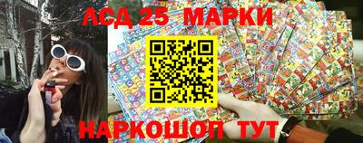 индика Кингисепп