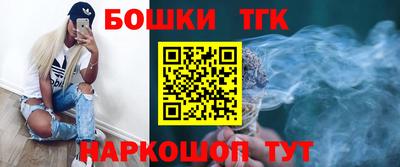индика Кингисепп