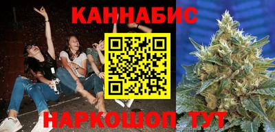 индика Кингисепп