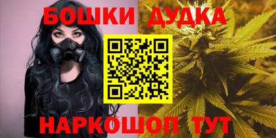 индика Кингисепп