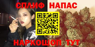 spice Кимры
