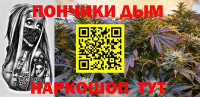 индика Кингисепп