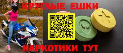 индика Кингисепп