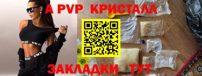 индика Кингисепп