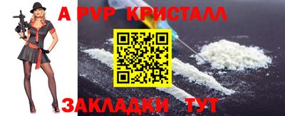 индика Кингисепп