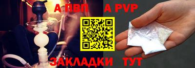 индика Кингисепп