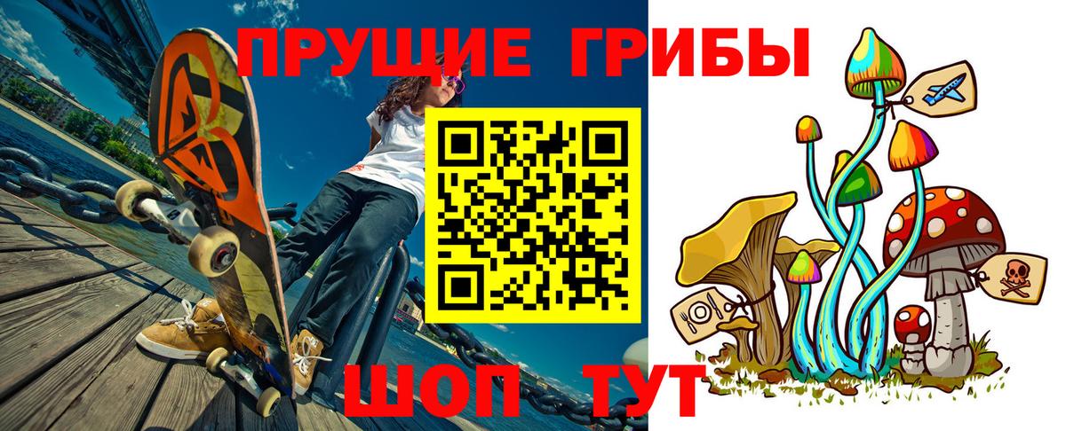 наркота  Вход с VPN  Псилоцибиновые грибы GOLDEN TEACHER  Кудрово  Псилоцибиновые грибы мухоморы 